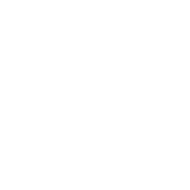 More Information icon