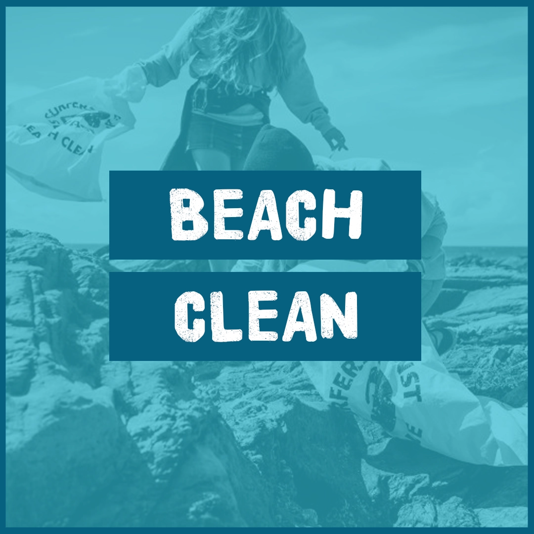 BEACH CLEAN