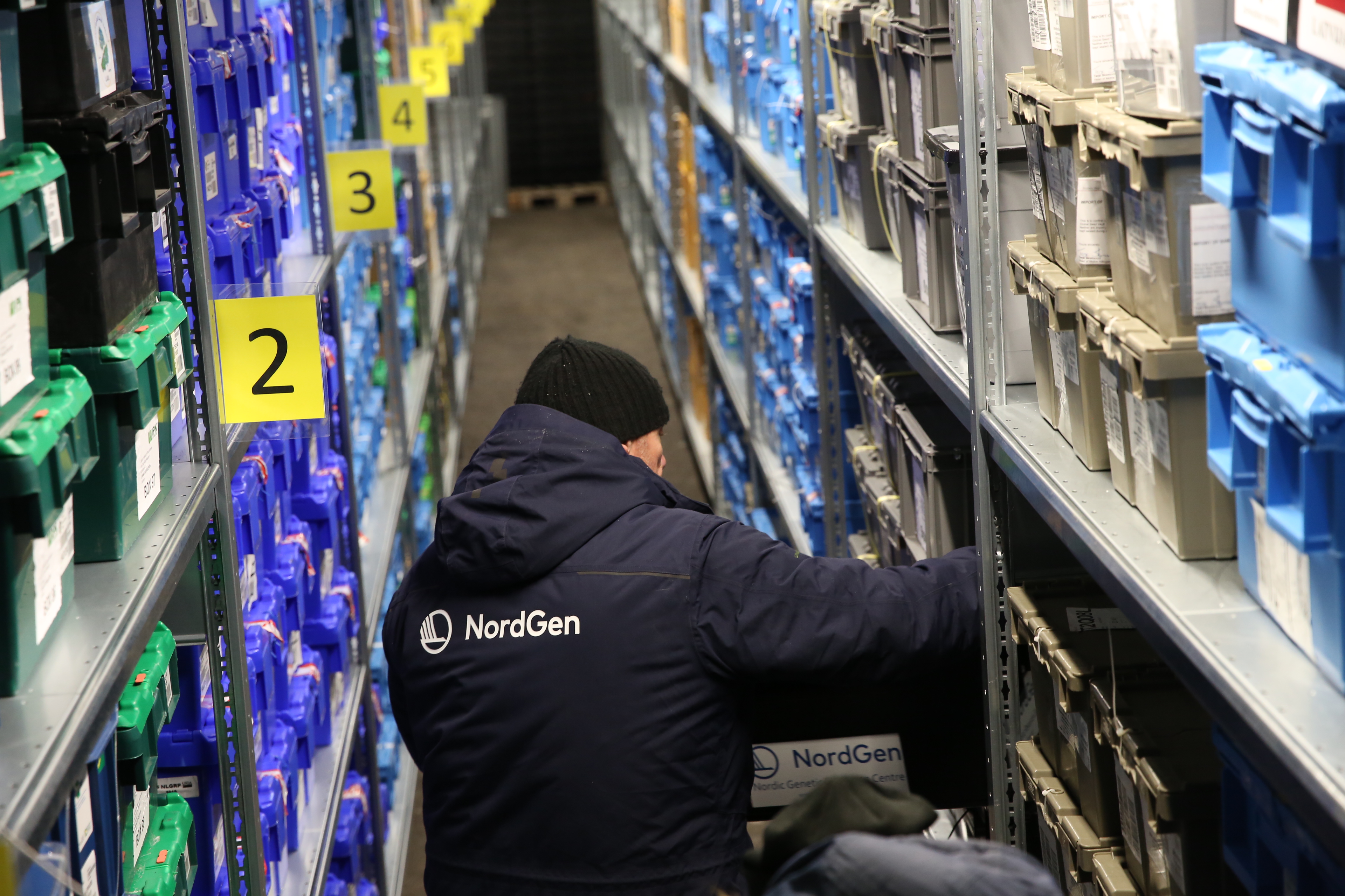 Explore the Collection