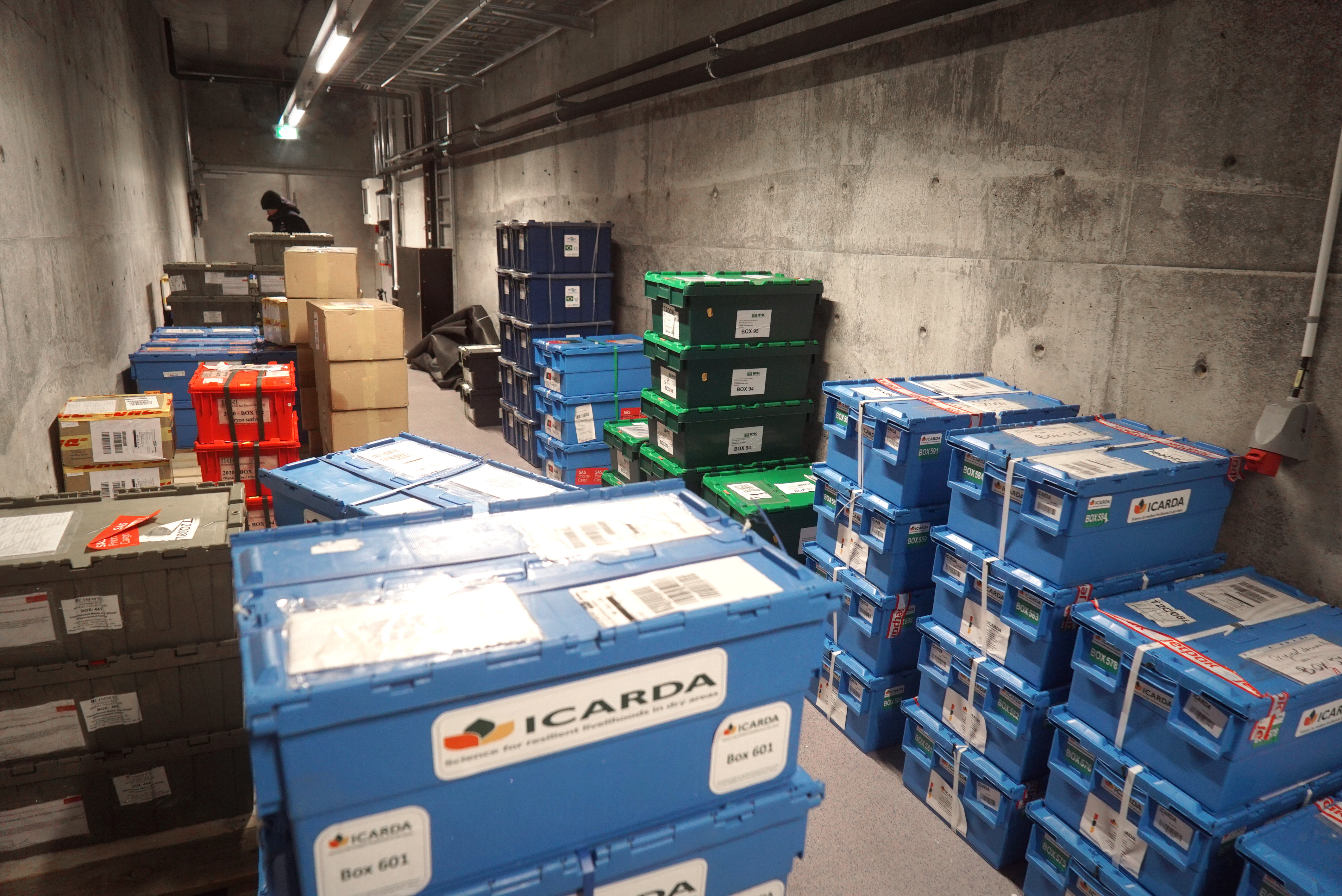 After the boxes are placed in the Portal Room, they are transported to a Seed Chamber. 