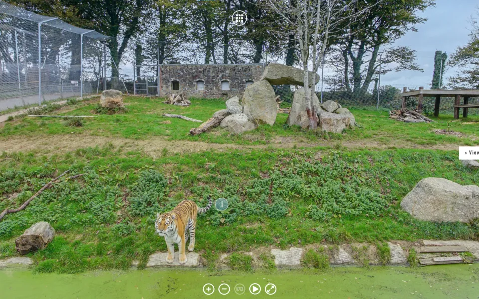 Dartmoor-Zoo-360-HDR-Photography
