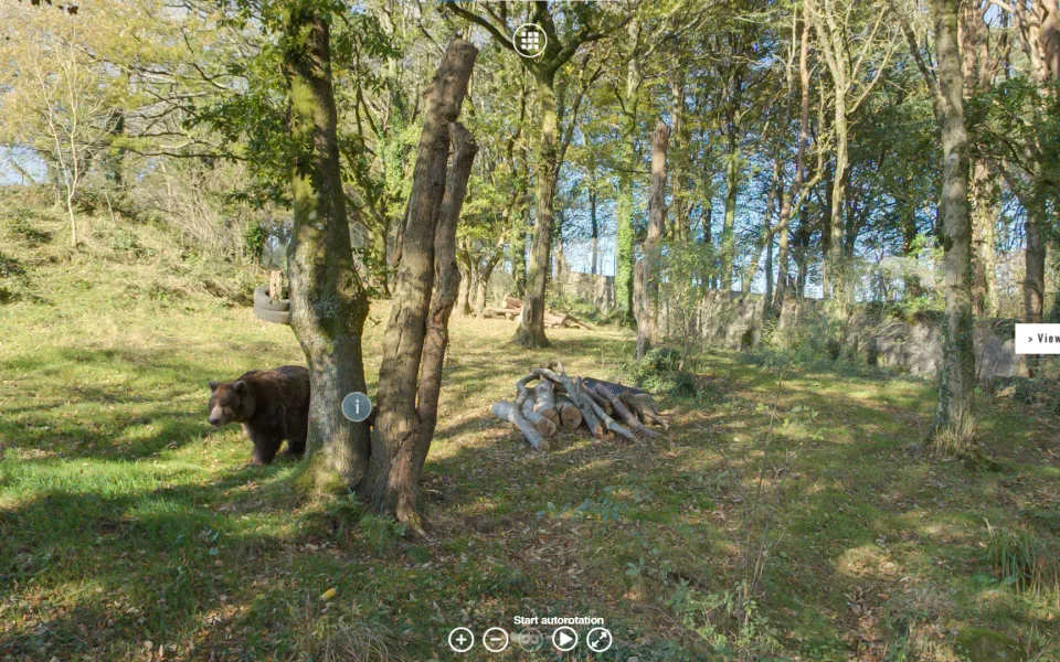 Dartmoor-Zoo-Auto-Rotate-Functionality
