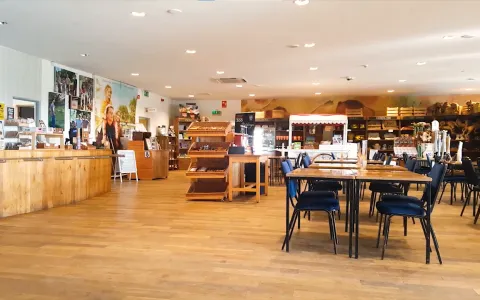 Dartmoor-Zoo-Video-Music-Integration