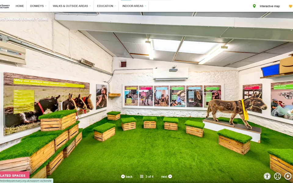 The-Donkey-Sanctuary-Intergrated-Donation-Links