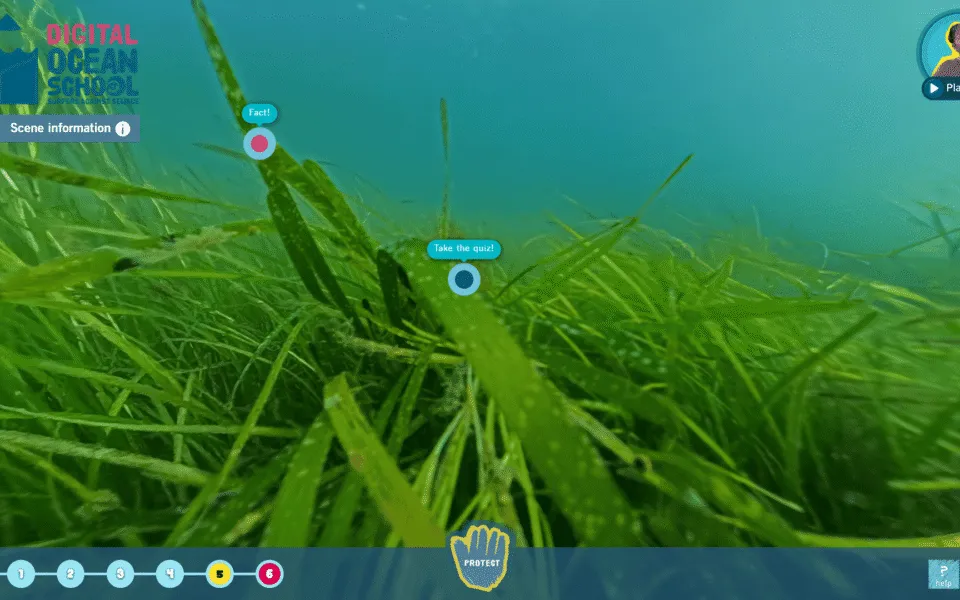 Surfers-Against-Sewage-Education-Virtual-Tour-5