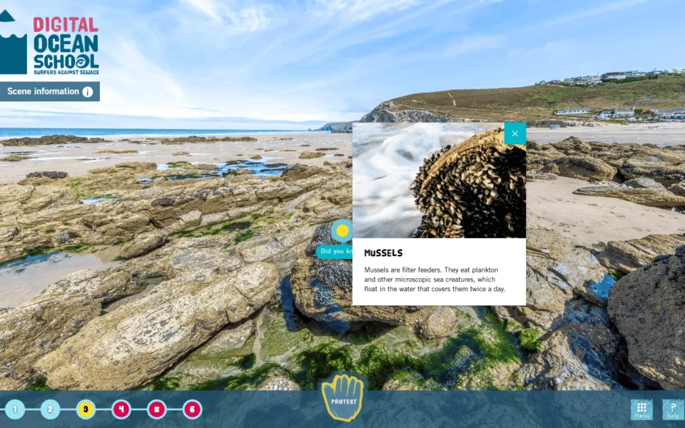 Surfers-Against-Sewage-Education-Virtual-Tour-6