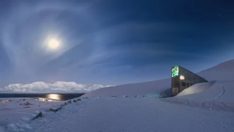 Step inside one of the world’s most secure and remote facilities with our immersive virtual tour of the Svalbard Global Seed Vault. Captured in sub-zero Arctic conditions, this interactive experience features multilingual support, dynamic light/dark state transitions, accessible navigation, and a fully branded interface. With global media coverage and average user engagement of 7 minutes 40 seconds, it sets the benchmark for virtual storytelling in science and sustainability.