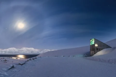 Step inside one of the world’s most secure and remote facilities with our immersive virtual tour of the Svalbard Global Seed Vault. Captured in sub-zero Arctic conditions, this interactive experience features multilingual support, dynamic light/dark state transitions, accessible navigation, and a fully branded interface. With global media coverage and average user engagement of 7 minutes 40 seconds, it sets the benchmark for virtual storytelling in science and sustainability.