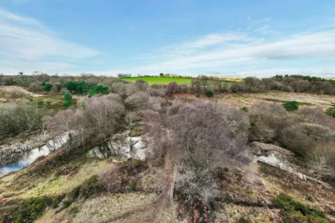 Heathland landscape in the East Devon Pebblebed Heaths