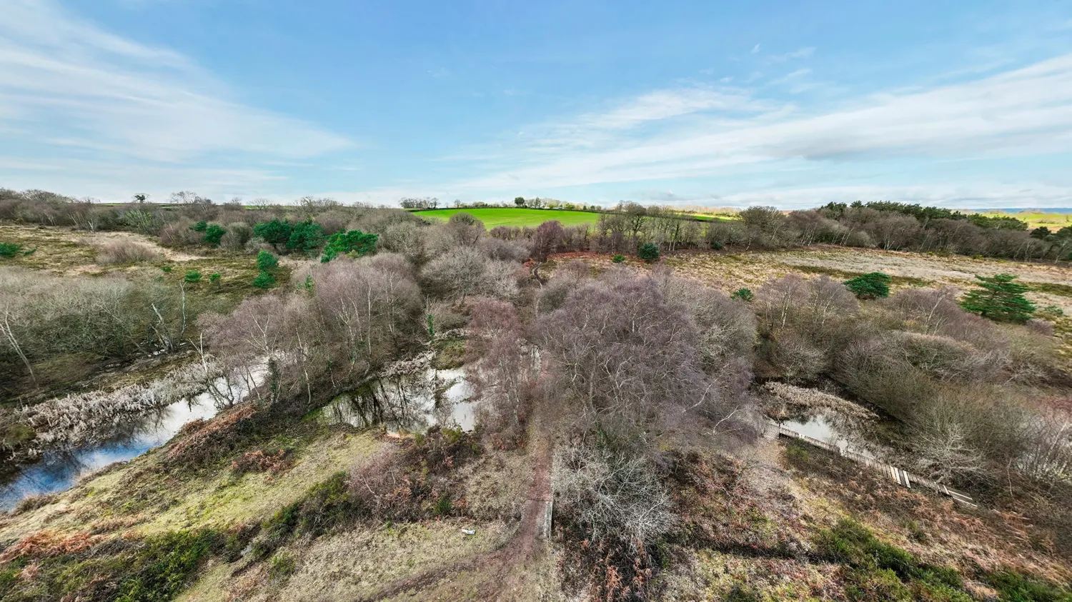 East Devon Pebblebed Heaths